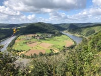 Neunhäuserwald von Serrig