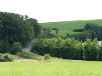 Lehmkuhl von Boicher Bachtal