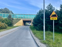 Leszczynki über Działdowska
