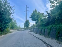 Floriana Ceynowy über Augustyna Kordeckiego