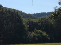 Geisberg von Schoden