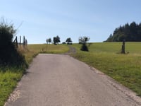Geisberg von Schoden