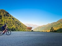 Col du Tourmalet vanuit Luz Saint Sauveur via Super Barèges