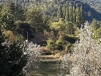 Montaulieu