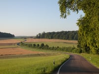 Gross Bübusch von Söst