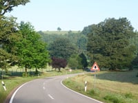 Maximiner Wald von Mannebach