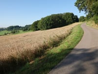 Maklich desde Alterhof