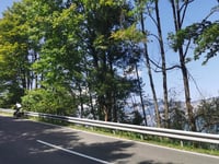Wurzenpass from Riegersdorf