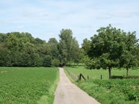 Wijngaardsberg da Ulestraten