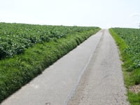 Wijngaardsberg da Ulestraten