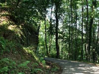 Metzenberg / Römischer Tempelbezirk Tawern