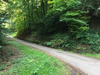 Metzenberg / Römischer Tempelbezirk Tawern