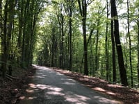 Löschemer Kapelle von Wasserliesch über Löschemerstrasse