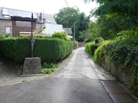 Rue de Borre von Argenteau