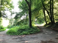Altenberg von Kollesleuken