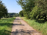 Altenberg von Kollesleuken