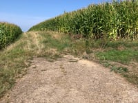 Altenberg von Kollesleuken