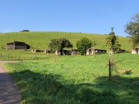 Maklich von Alterhof