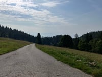 La Baudichonne von La Rippe