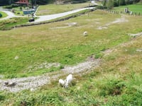 Via Monte Rosa von Sovazza