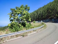 Kopaonik von Rudnica
