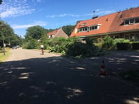 Turfberg da Radio Kootwijk