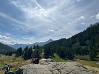 Chalets de Laval from Nevache