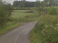 Pasture Lane von Hose
