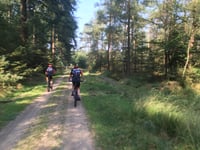 Bruisbeek von Landgoed Boshul