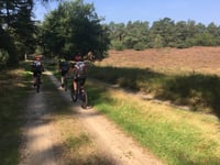 Bruisbeek von Landgoed Boshul
