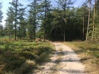 Bruisbeek von Landgoed Boshul