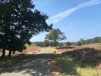 Groenendaal desde Loenermark