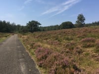 Groenendaal desde Loenermark