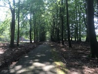 Groenendaal desde Loenermark