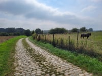 Manshoven da Sassenbroek