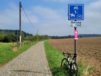 Manshoven da Sassenbroek