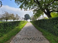 Manshoven da Sassenbroek
