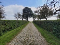 Manshoven da Sassenbroek