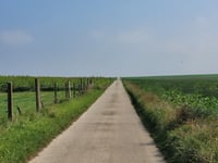 Populierenveld via Weeraardstraat