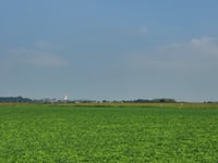 Populierenveld via Weeraardstraat