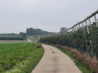 Romeinseweg-Brustem