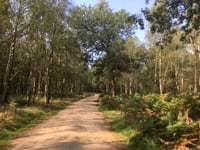 Hoge Duvel depuis Apeldoorn
