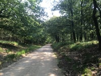 Hoge Duvel depuis Apeldoorn
