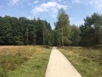 Asselsestraat from Apeldoorn