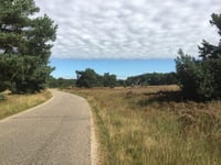 Pomphulweg vanuit Assel