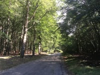 Pomphulweg vanuit Assel