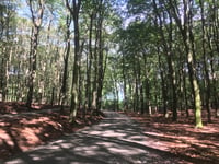 Pomphulweg vanuit Assel