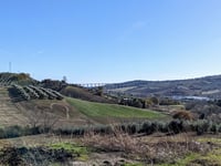 Montone von Salino