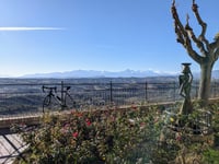Montone desde Salino
