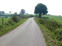 Nütheimer Strasse von Nütheim